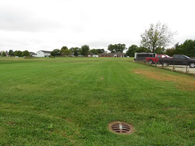a view of a garden with trees