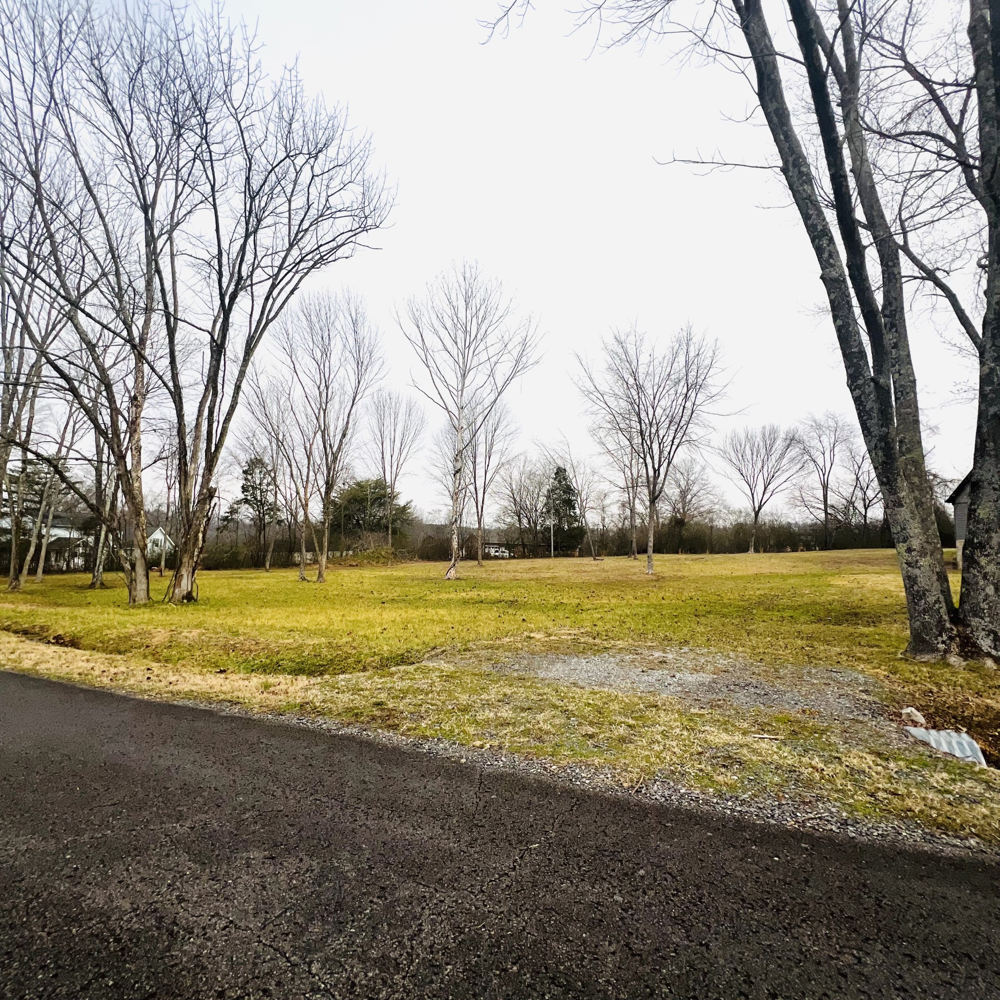 0 Sycamore Valley Road Ashland City, TN 37015 - Photo 1 of 10 Gallery Image 1