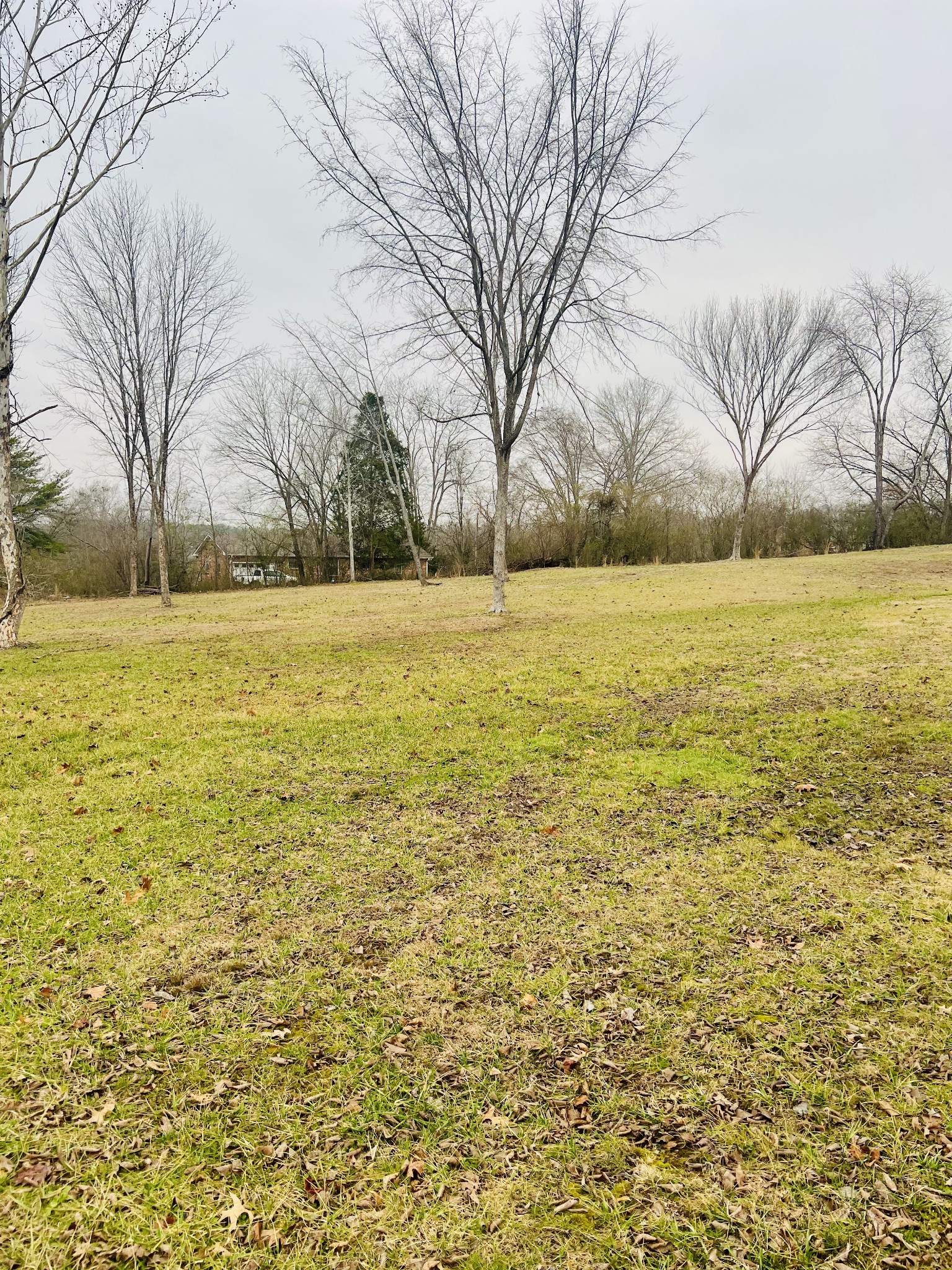0 Sycamore Valley Road Ashland City, TN 37015 - Photo 3 of 10 Gallery Image 3