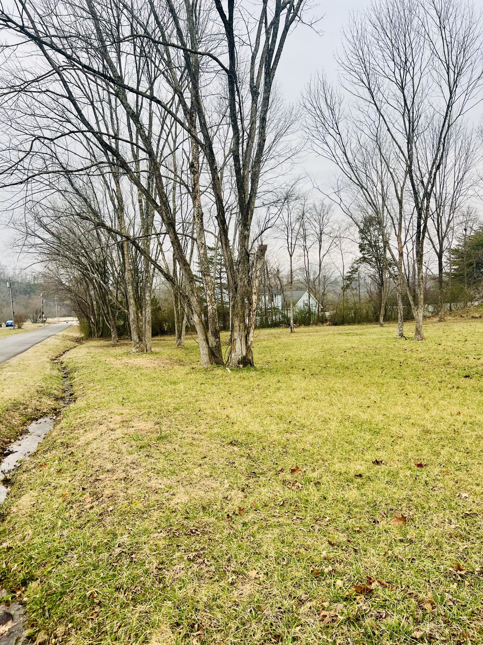0 Sycamore Valley Road Ashland City, TN 37015 - Photo 4 of 10 Gallery Image 4