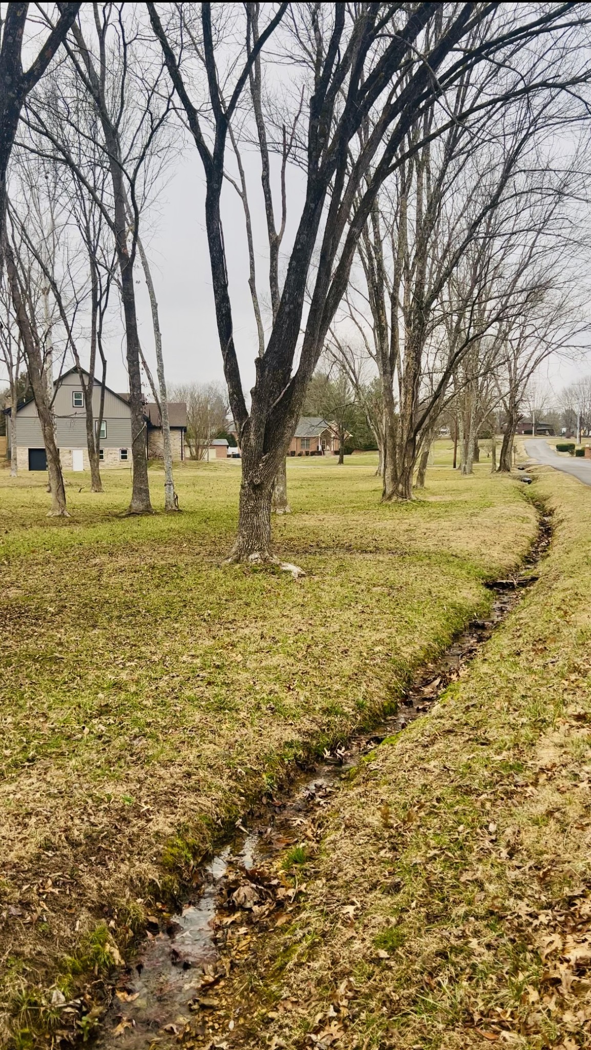 0 Sycamore Valley Road Ashland City, TN 37015 - Photo 5 of 10 Gallery Image 5