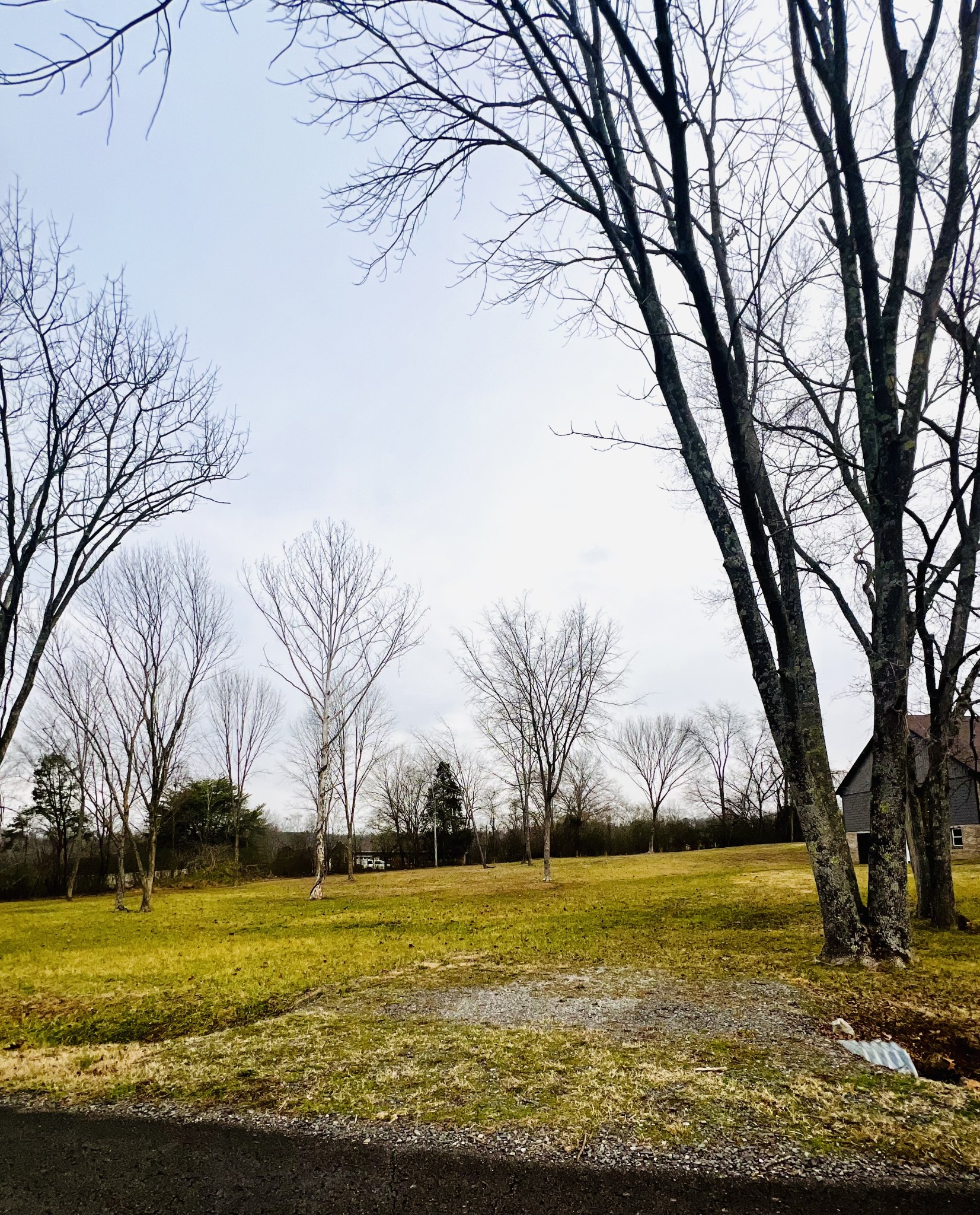 0 Sycamore Valley Road Ashland City, TN 37015 - Photo 8 of 10 Gallery Image 8