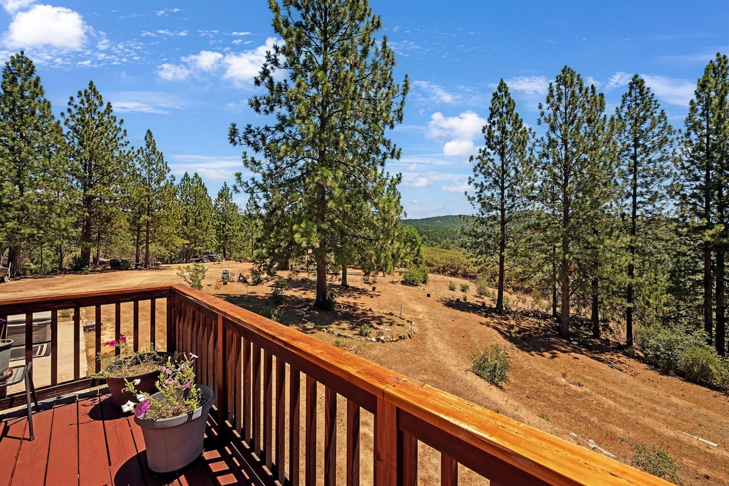 12336 Scott Road Mountain Ranch, CA 95246 - Photo 57 of 70