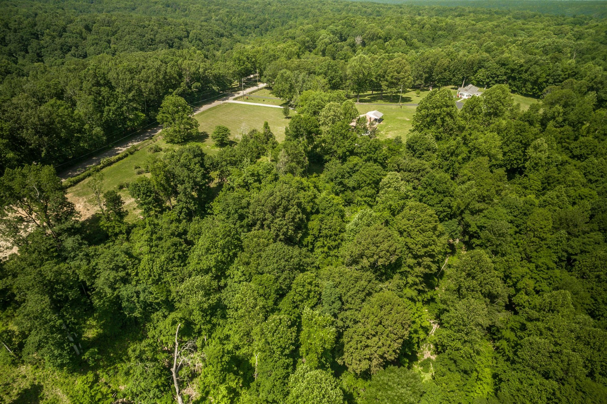 5124 Ridge Hill Road Joelton, TN 37080 - Photo 26 of 27 a view of a forest with a houses