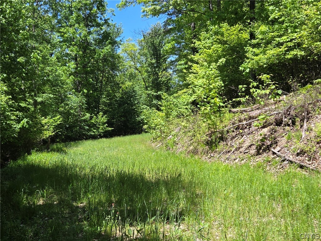 Lillibridge Road Olean, NY 14760 - Photo 38 of 48