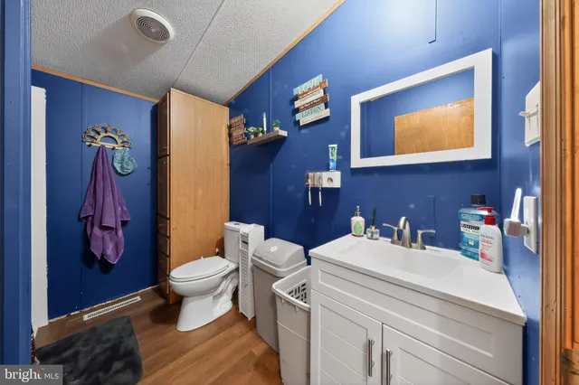 a bathroom with a sink a toilet and shower curtain