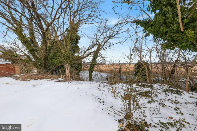 a street view covered with snow