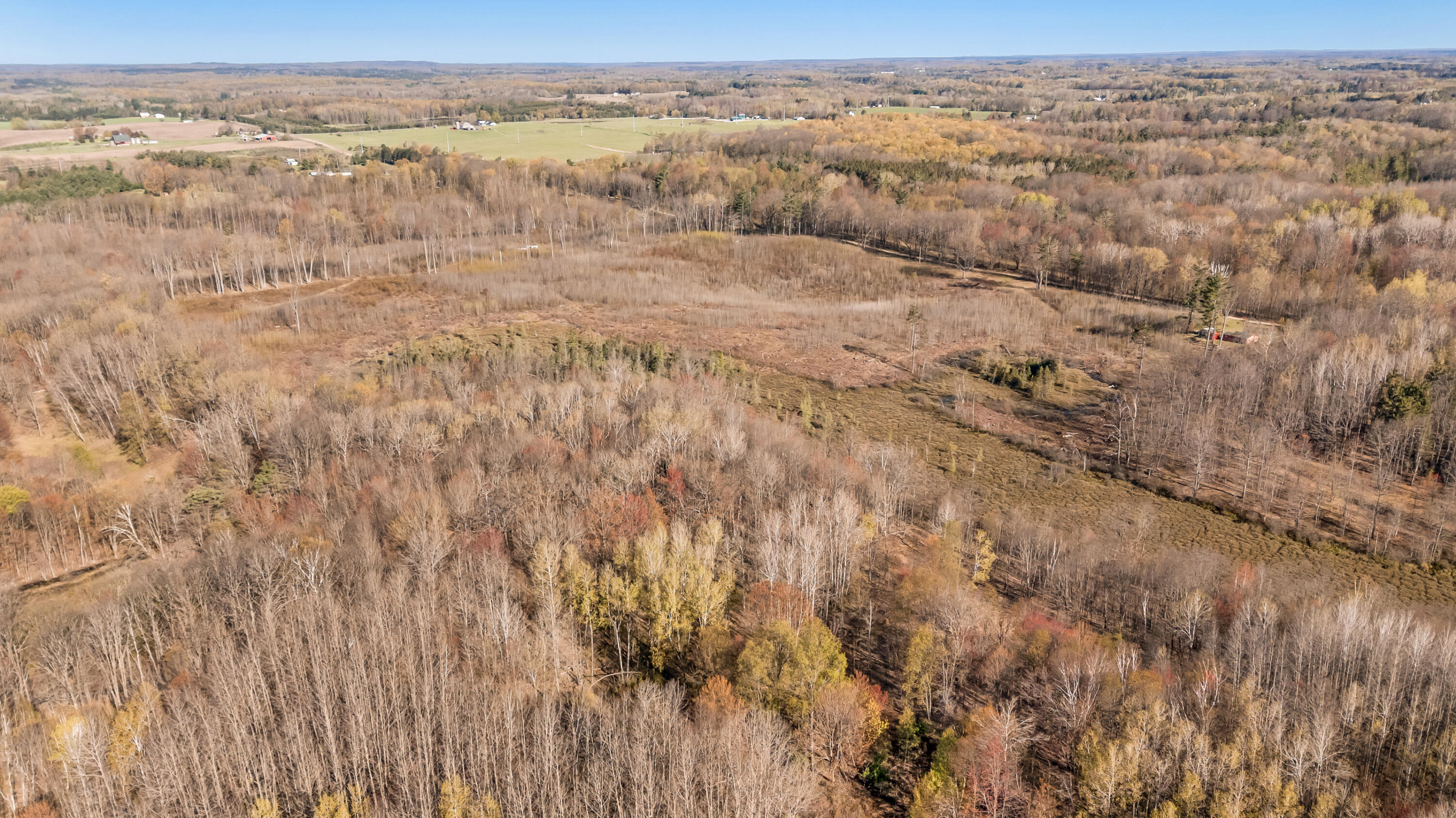 16107 12 Mile Road Leroy, MI 49655 - Photo 27 of 40 16107-12MileRd-Leroy-18