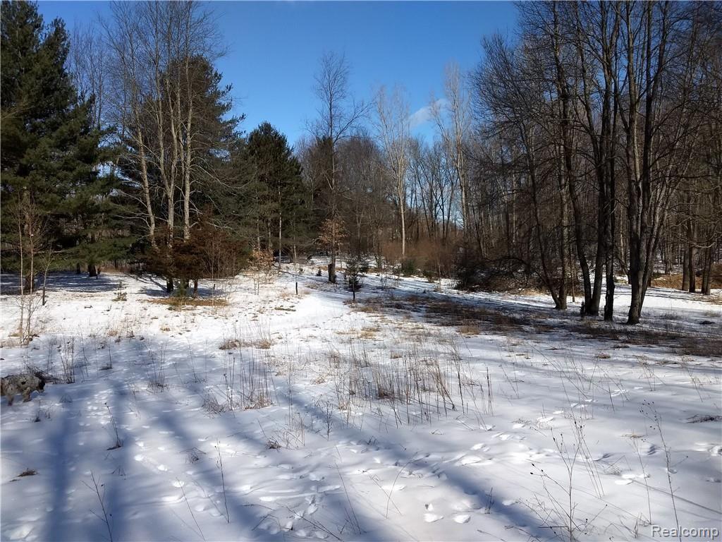 0 Smith Road Davison, MI 48423 - Photo 14 of 20 IMG_20190306_100023663_BURST000_COVER.jpg