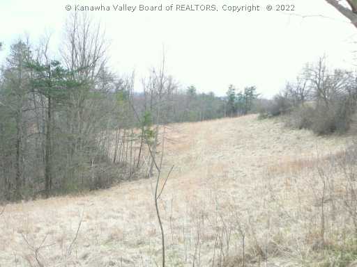 0 Statts Mills Road Ripley, WV 25271 - Photo 6 of 8 Land.