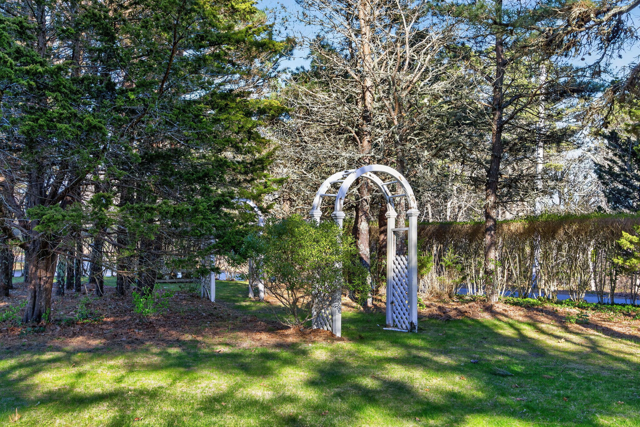 266 Seapine Road North Chatham, MA 02650 - Photo 41 of 46 79-PF0A2430