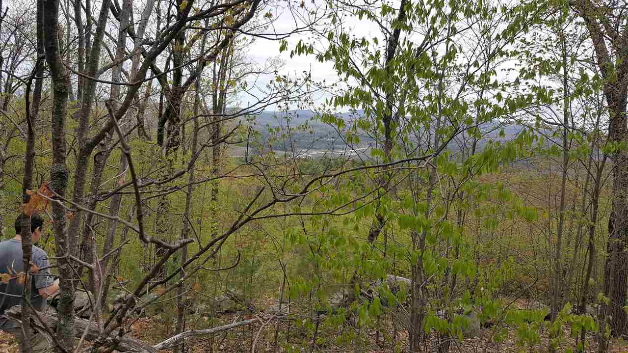 3-36 Chamberlain Road North Alton, NH 03809 - Photo 3 of 5