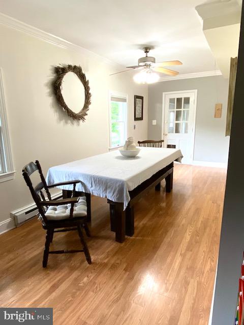 600 Dominion Road Chester, MD 21619 - Photo 16 of 47 Gallery Image 16