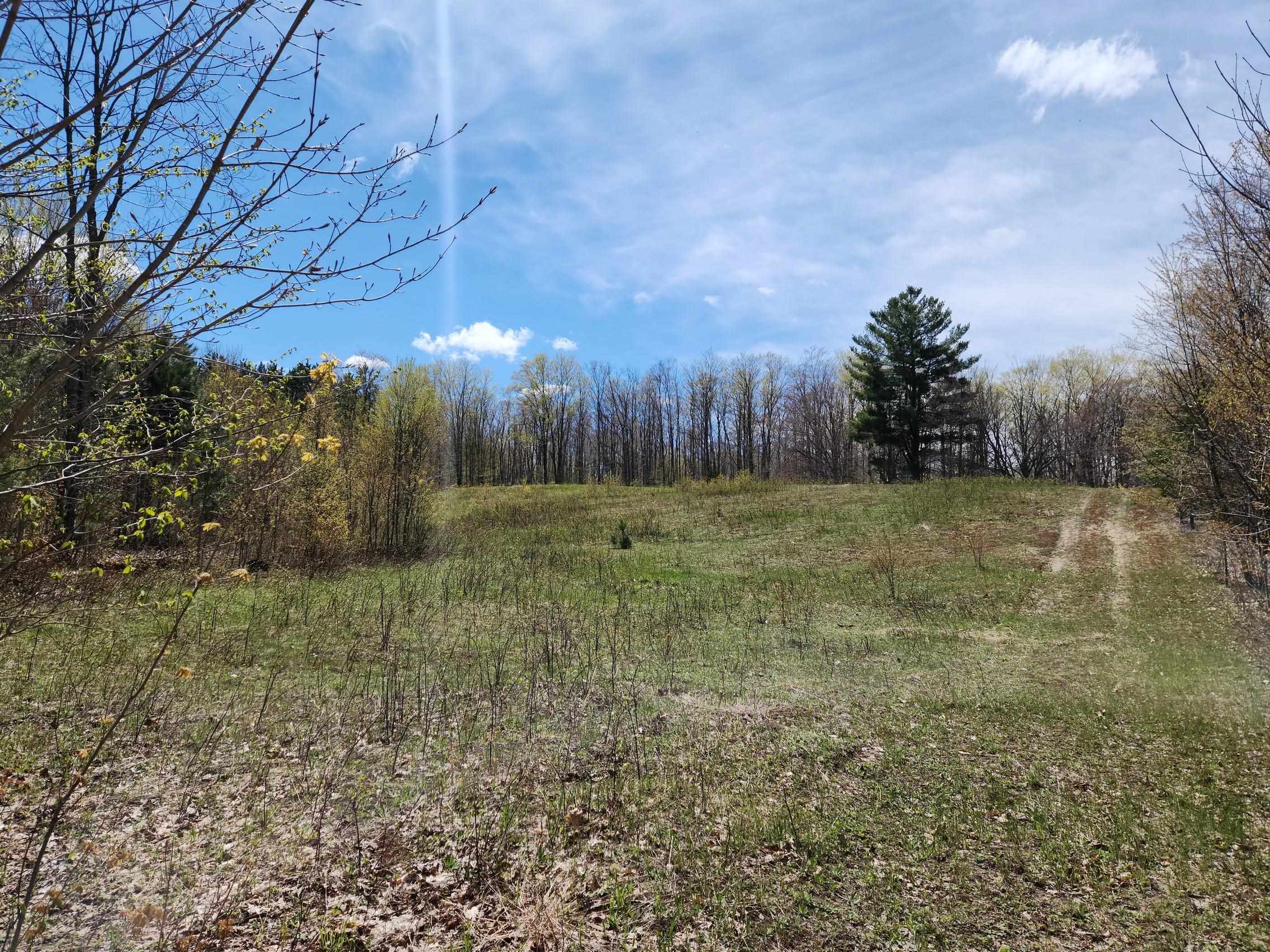 7777 Henschell Road Southwest South Boardman, MI 49680 - Photo 22 of 31