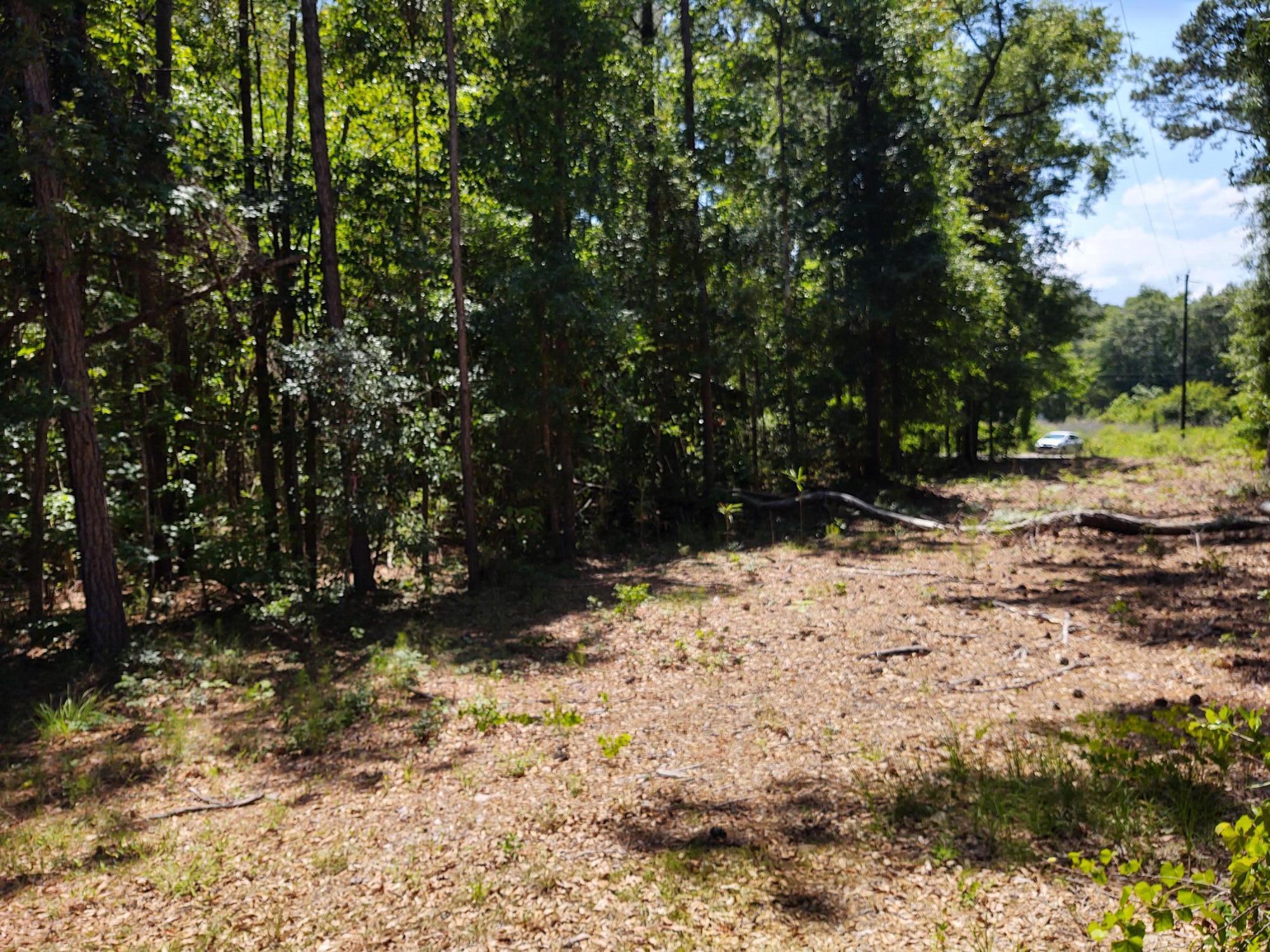 0 Slans Island Road Hollywood, SC 29449 - Photo 1 of 8 IMG_20210521_142644619_HDR