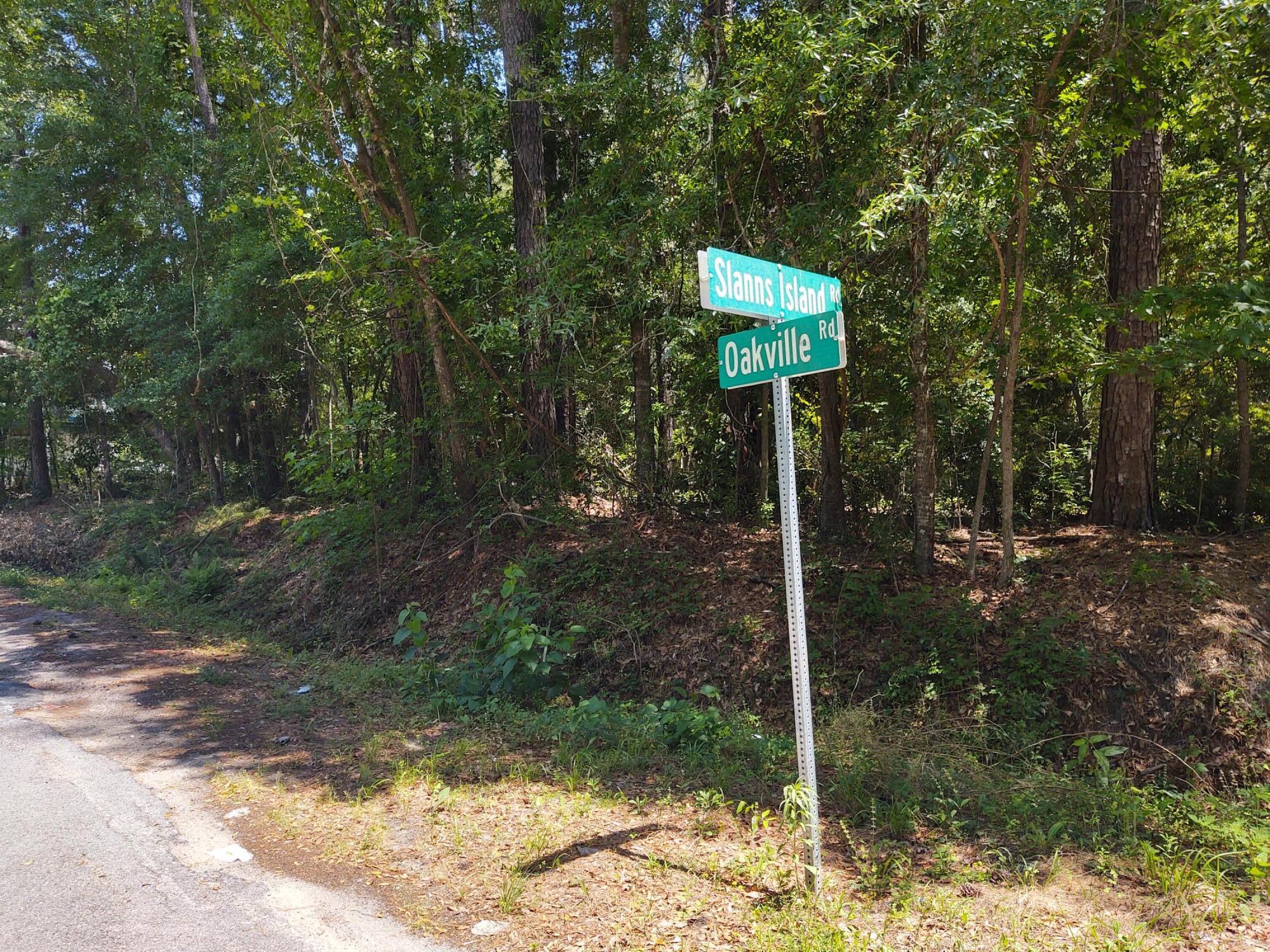 0 Slans Island Road Hollywood, SC 29449 - Photo 2 of 8 IMG_20210521_142551736_HDR