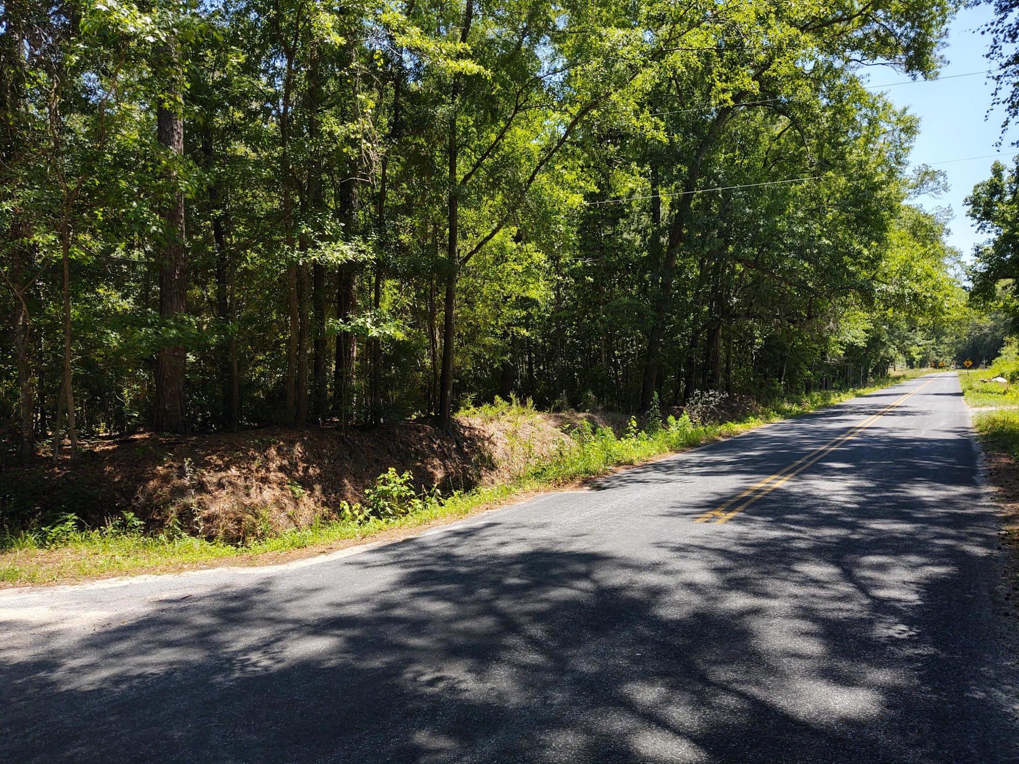 0 Slans Island Road Hollywood, SC 29449 - Photo 7 of 8 IMG_20210521_142901189_HDR