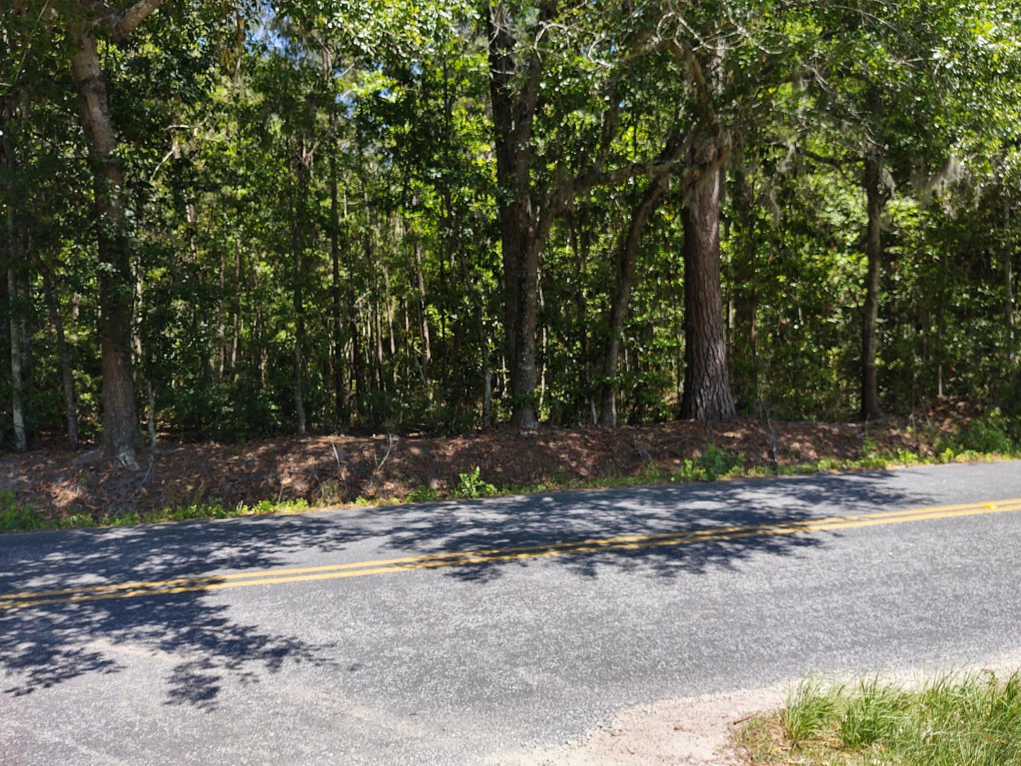 0 Slans Island Road Hollywood, SC 29449 - Photo 8 of 8 IMG_20210521_142929009_HDR