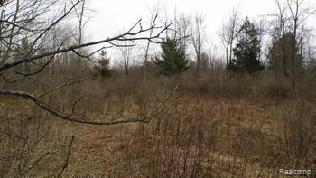 4815 Sanilac Road Vassar, MI 48768 - Photo 6 of 7 Gallery Image 6