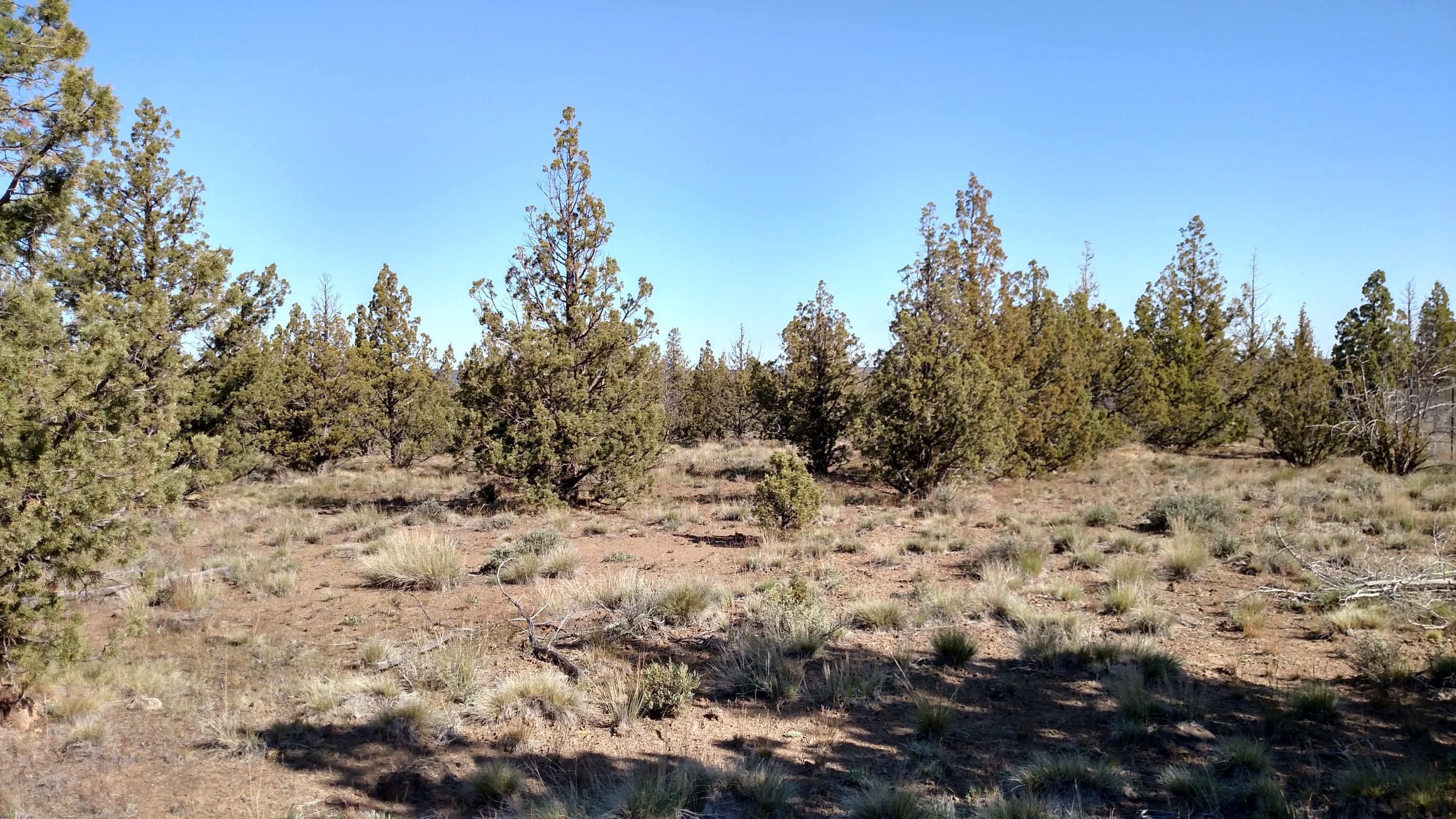 Southeast Adobe Road Prineville, OR 97754 - Photo 1 of 4 Vacant Lot