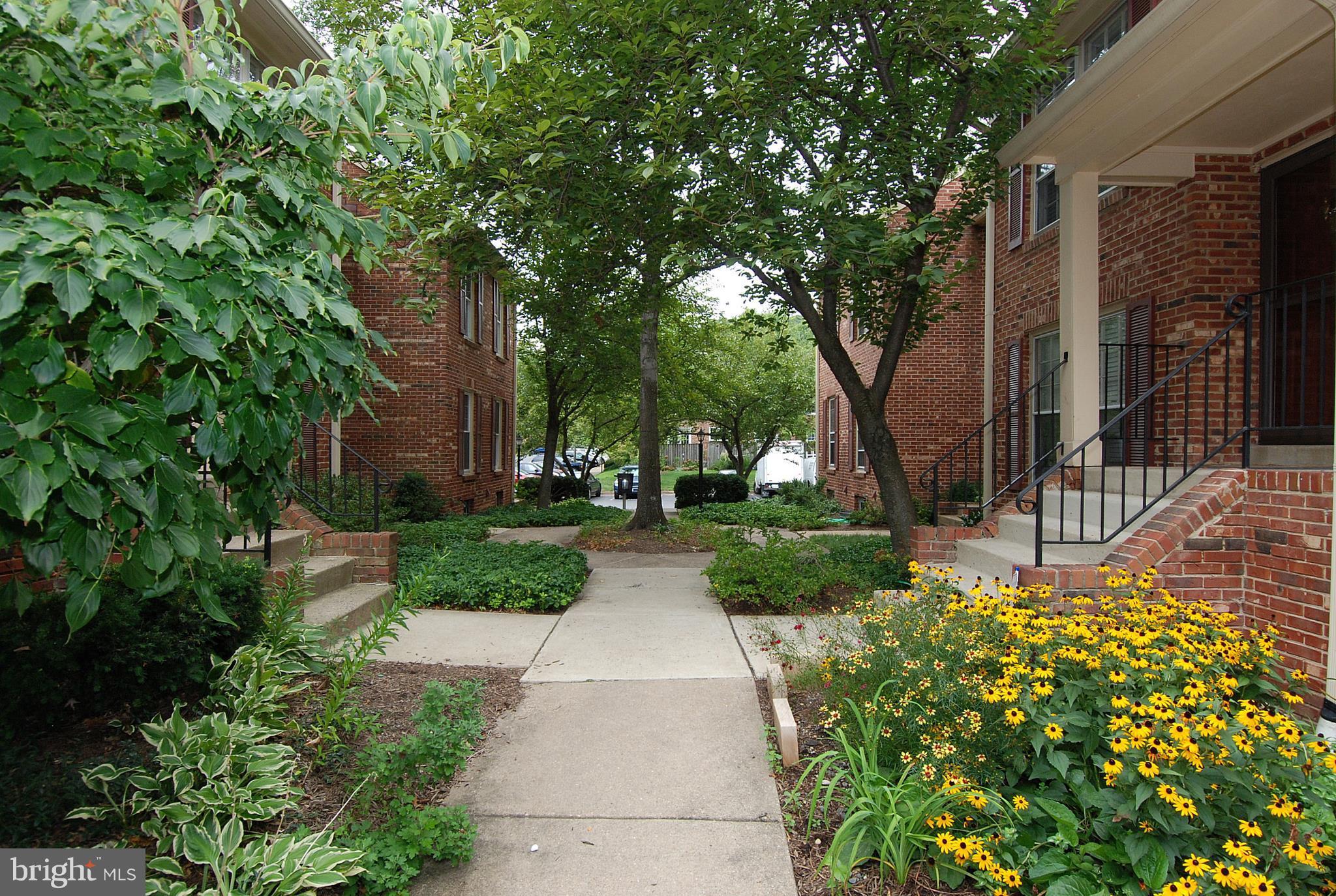 2504 South Walter Reed Drive, Unit 2 Arlington, VA 22206 - Photo 15 of 19 Exterior (Rear)