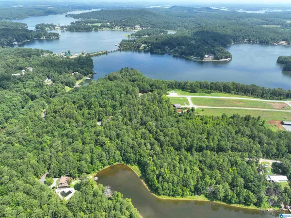 $55,000 | 0 AEPEAN Way, Unit 17 76 77 78 79 80, Alpine, AL 35014