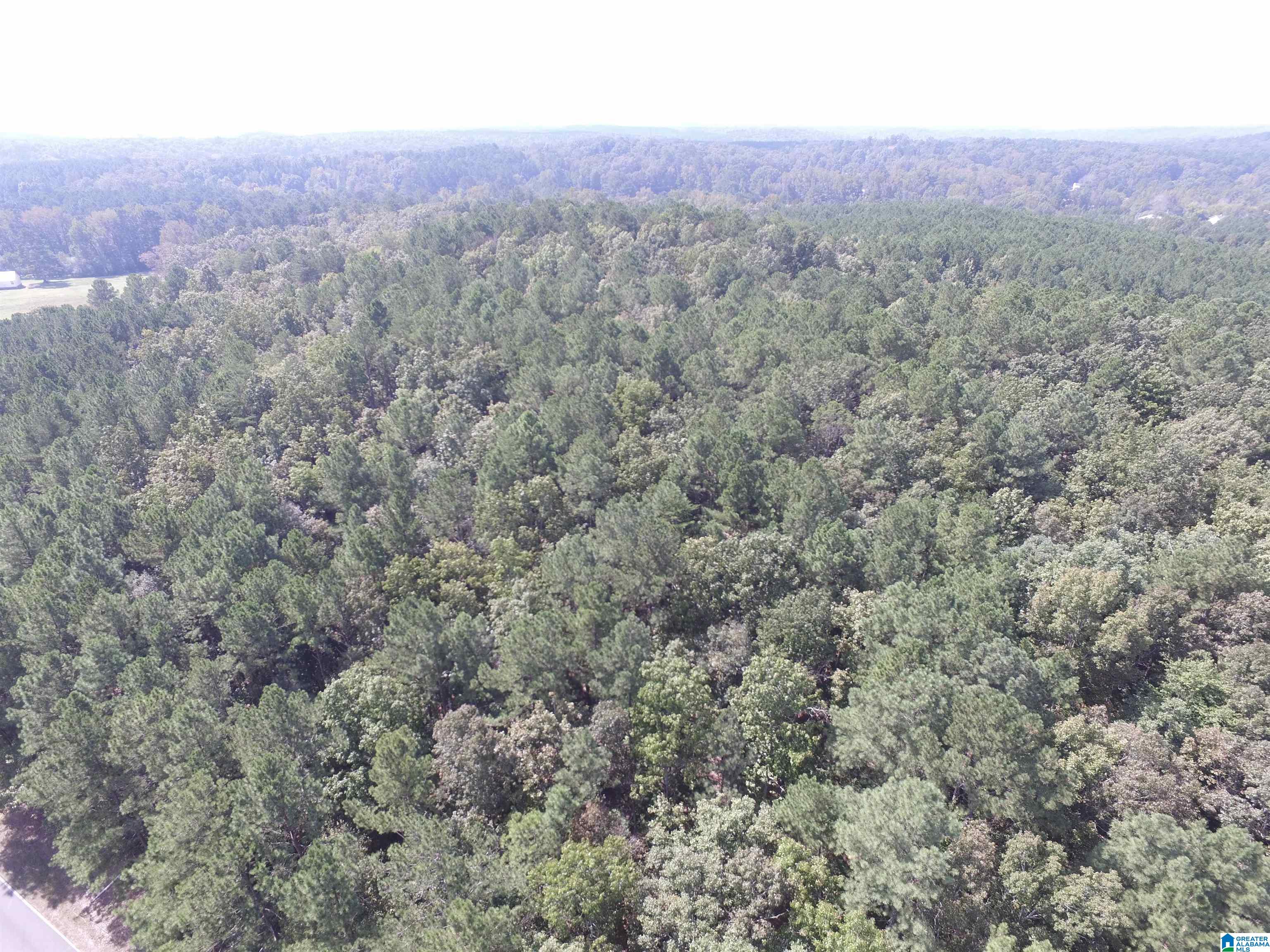 9138 Thermal Road, Unit 8 Warrior, AL 35180 - Photo 14 of 26