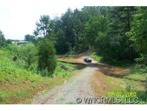 240 Gouges Branch Road Leicester, NC 28748 - Photo 14 of 18 a view of a yard with a tree