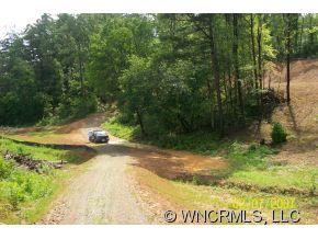 240 Gouges Branch Road Leicester, NC 28748 - Photo 18 of 18 a view of a yard with trees