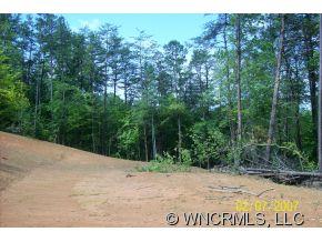240 Gouges Branch Road Leicester, NC 28748 - Photo 4 of 18 a view of outdoor space and yard