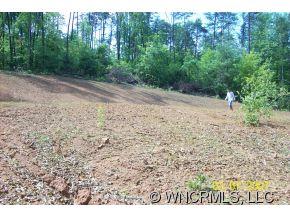 240 Gouges Branch Road Leicester, NC 28748 - Photo 6 of 18 a view of a yard with plants and a bench