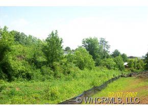 240 Gouges Branch Road Leicester, NC 28748 - Photo 10 of 18 a view of a big yard with large trees