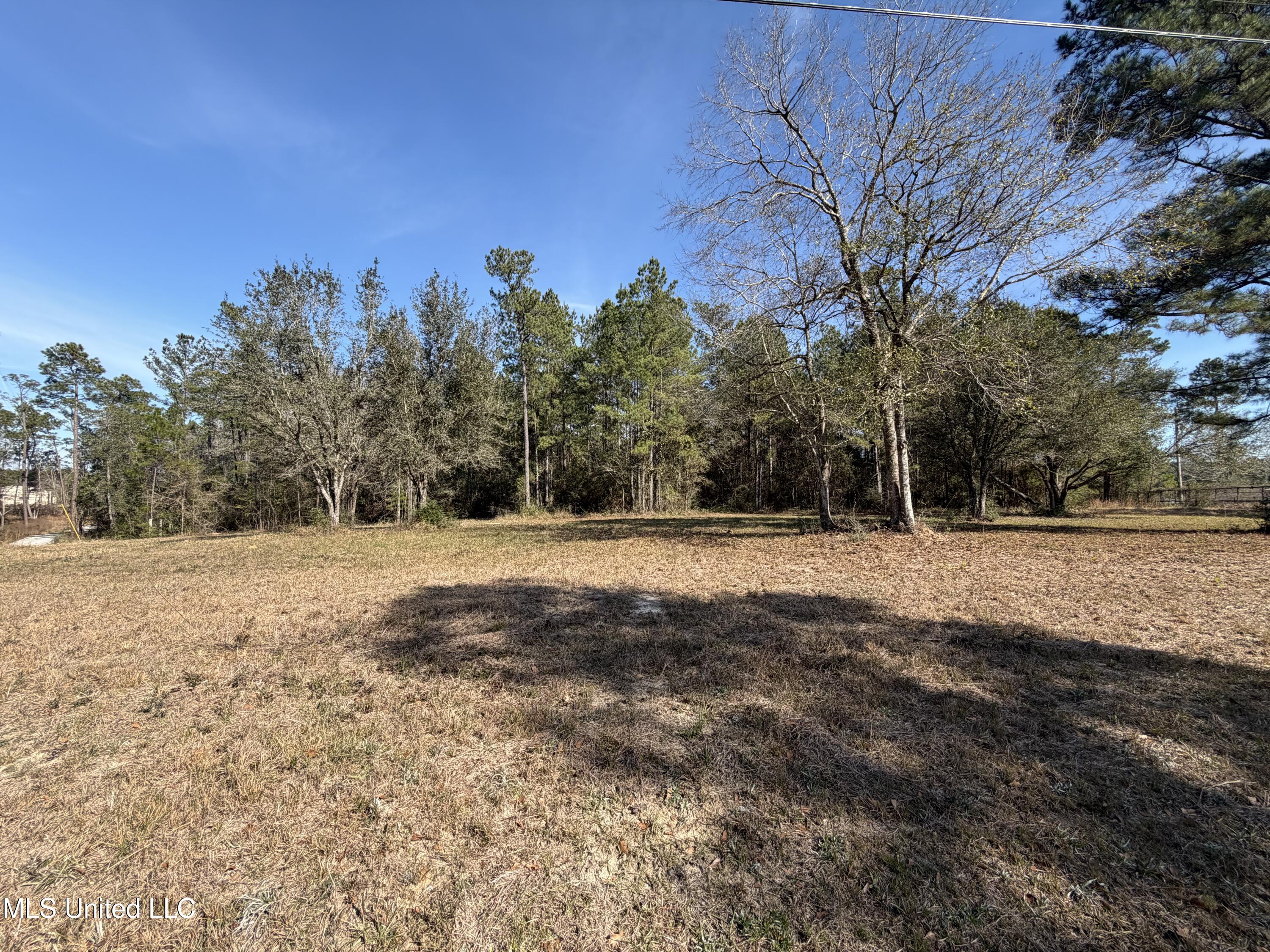 Doc Lizana Road Gulfport, MS 39503 - Photo 4 of 5 ALR1