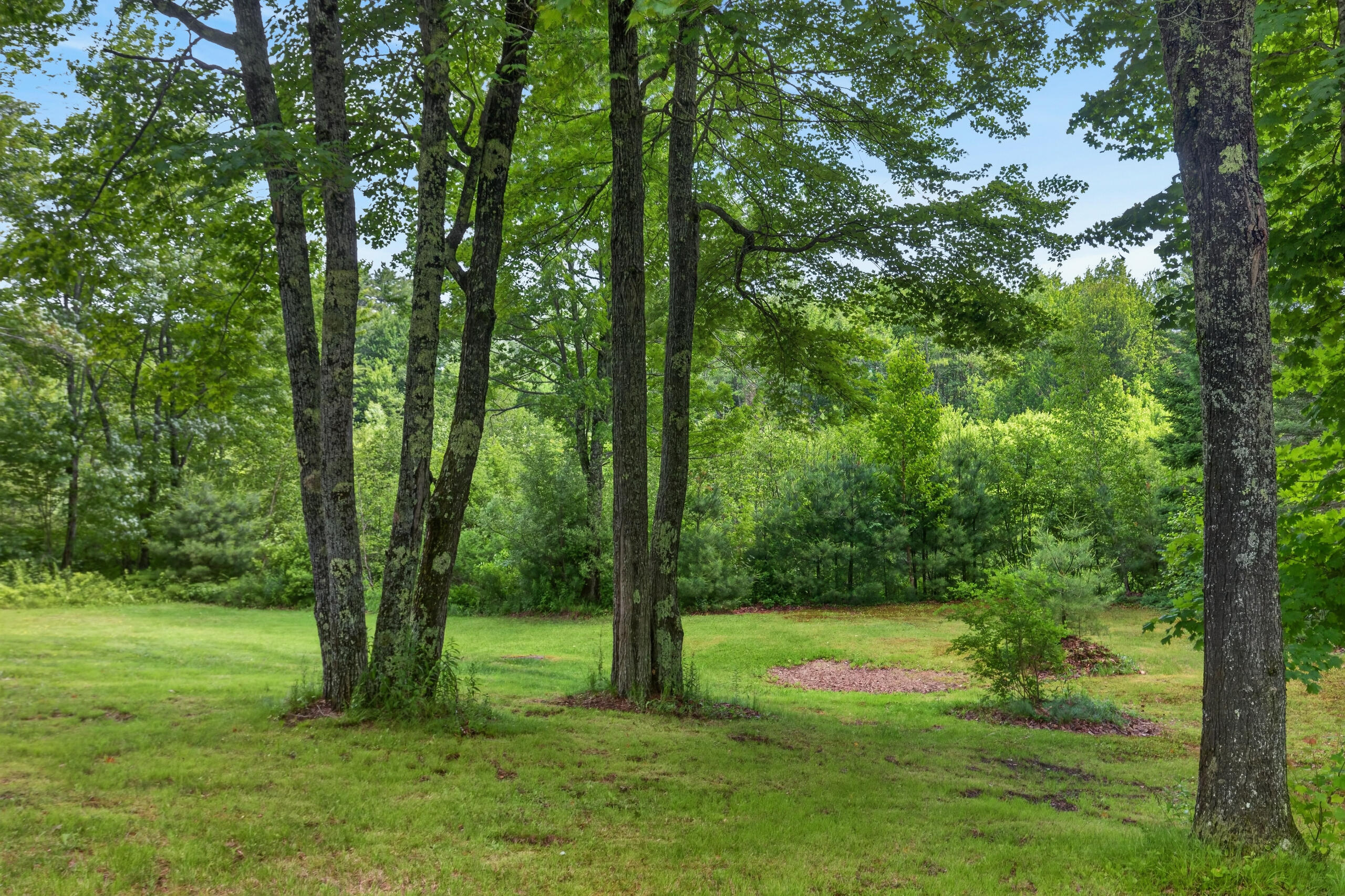 105 River Road Howland, ME 04448 - Photo 14 of 57