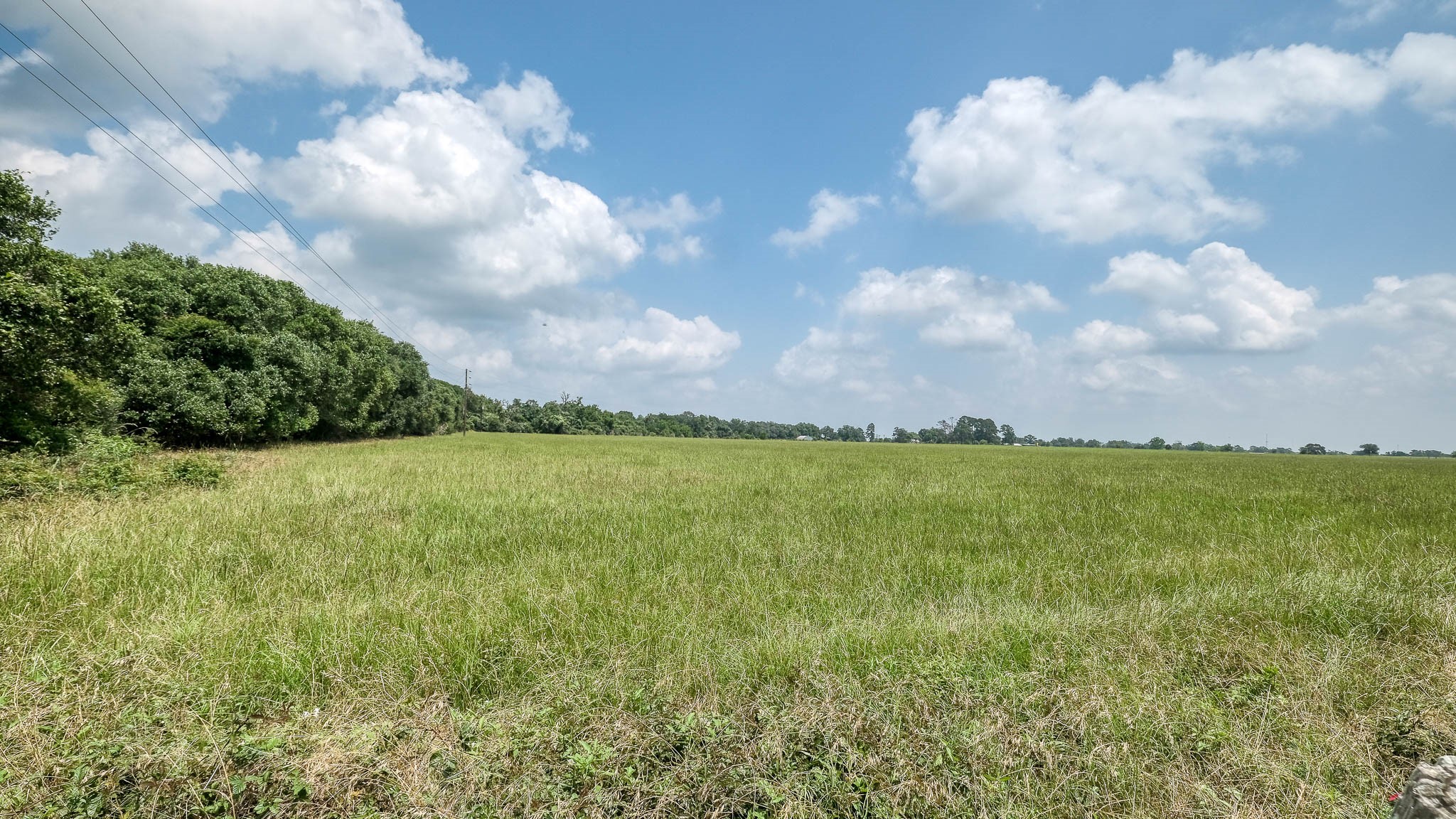 0 Fm 1488 Hempstead, TX 77445 - Photo 12 of 12 a view of a lake and yard with trees