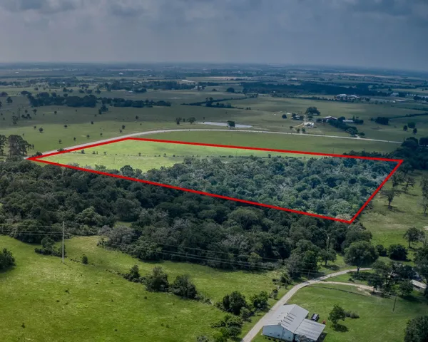 a view of a lush green space