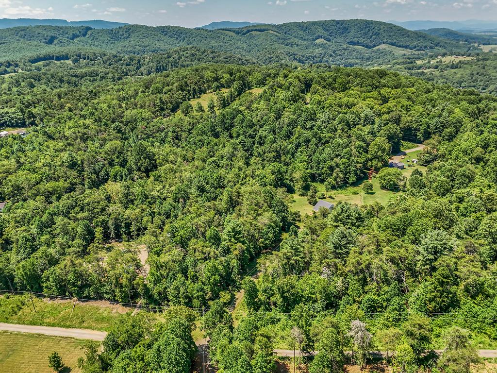 309 Timber Road Barren Springs, VA 24313 - Photo 57 of 66 Gallery Image 57