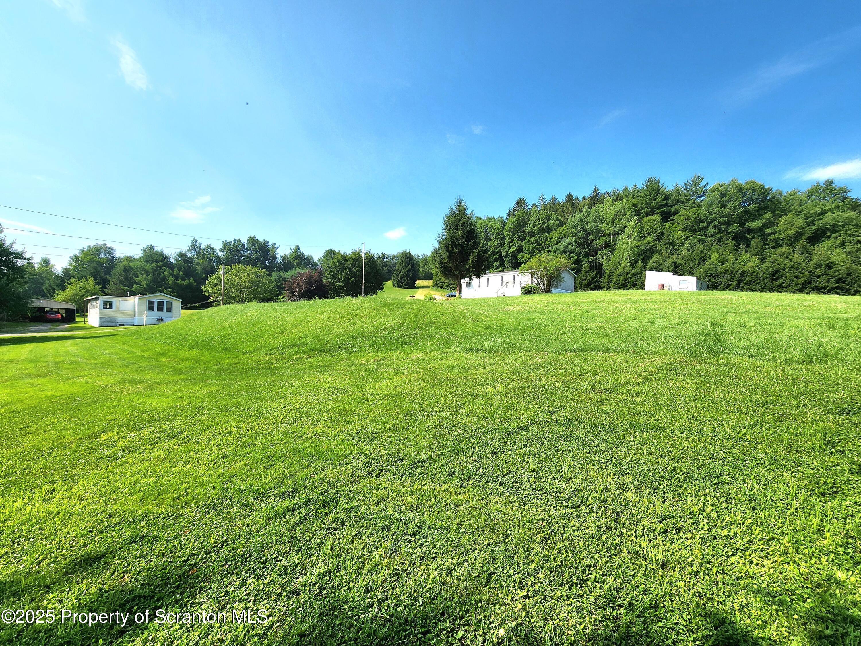 18132 Dimock To Nicholson Road Nicholson, PA 18446 - Photo 13 of 62 a view of grassy field with trees