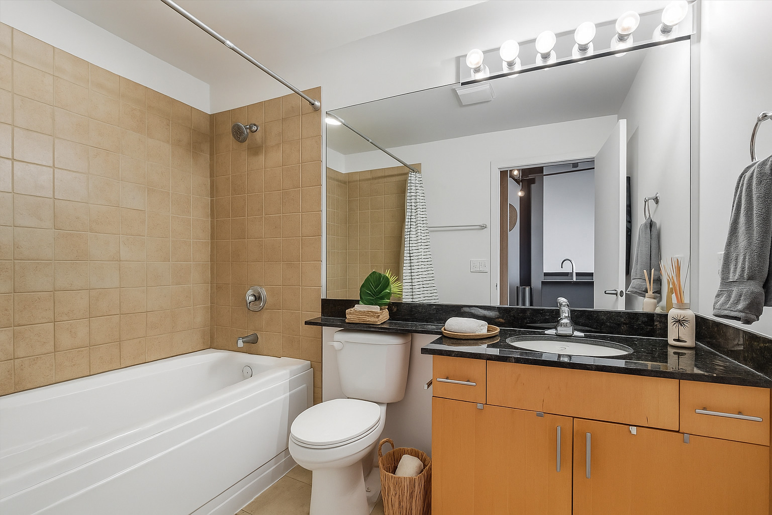 1040 West Adams Street, Unit 417 Chicago, IL 60607 - Photo 16 of 21 a bathroom with a sink a toilet a mirror and bathtub