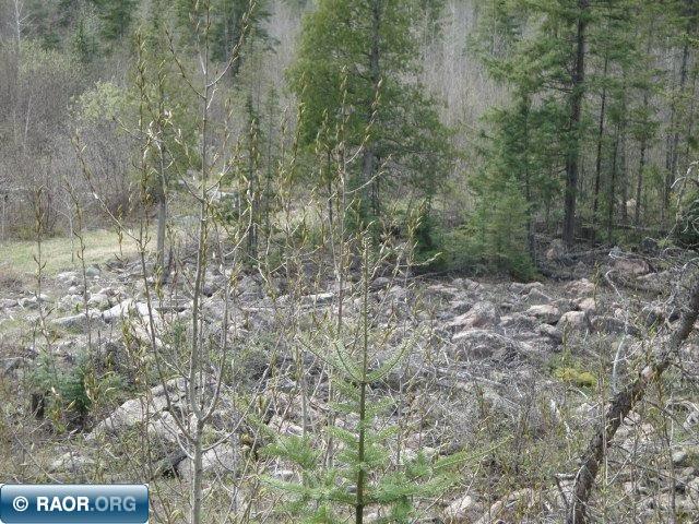 4866 Waisanen Road Embarrass, MN 55732 - Photo 14 of 29