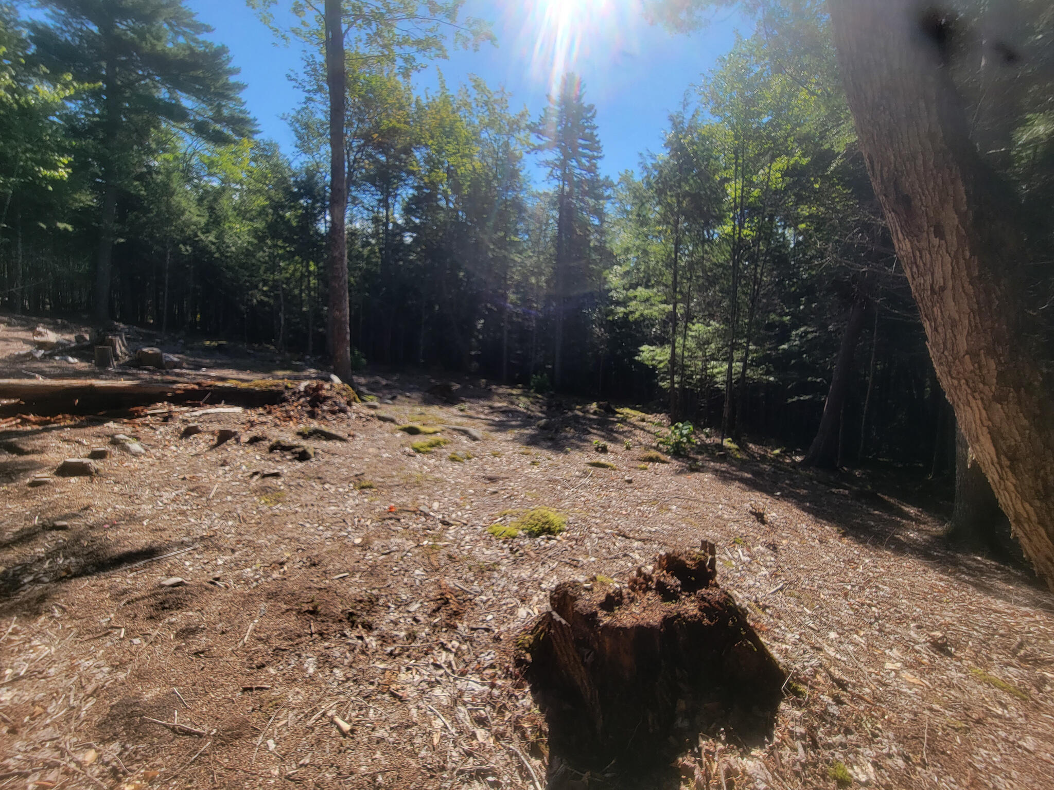 Tbd Tbd Chandler Road Enfield, ME 04493 - Photo 11 of 18 20220908_104806
