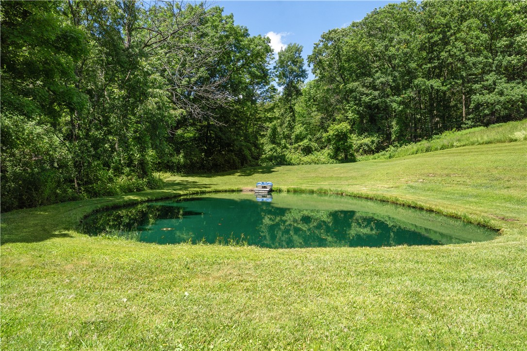 8636 Oak Hill Road Dansville, NY 14807 - Photo 49 of 50