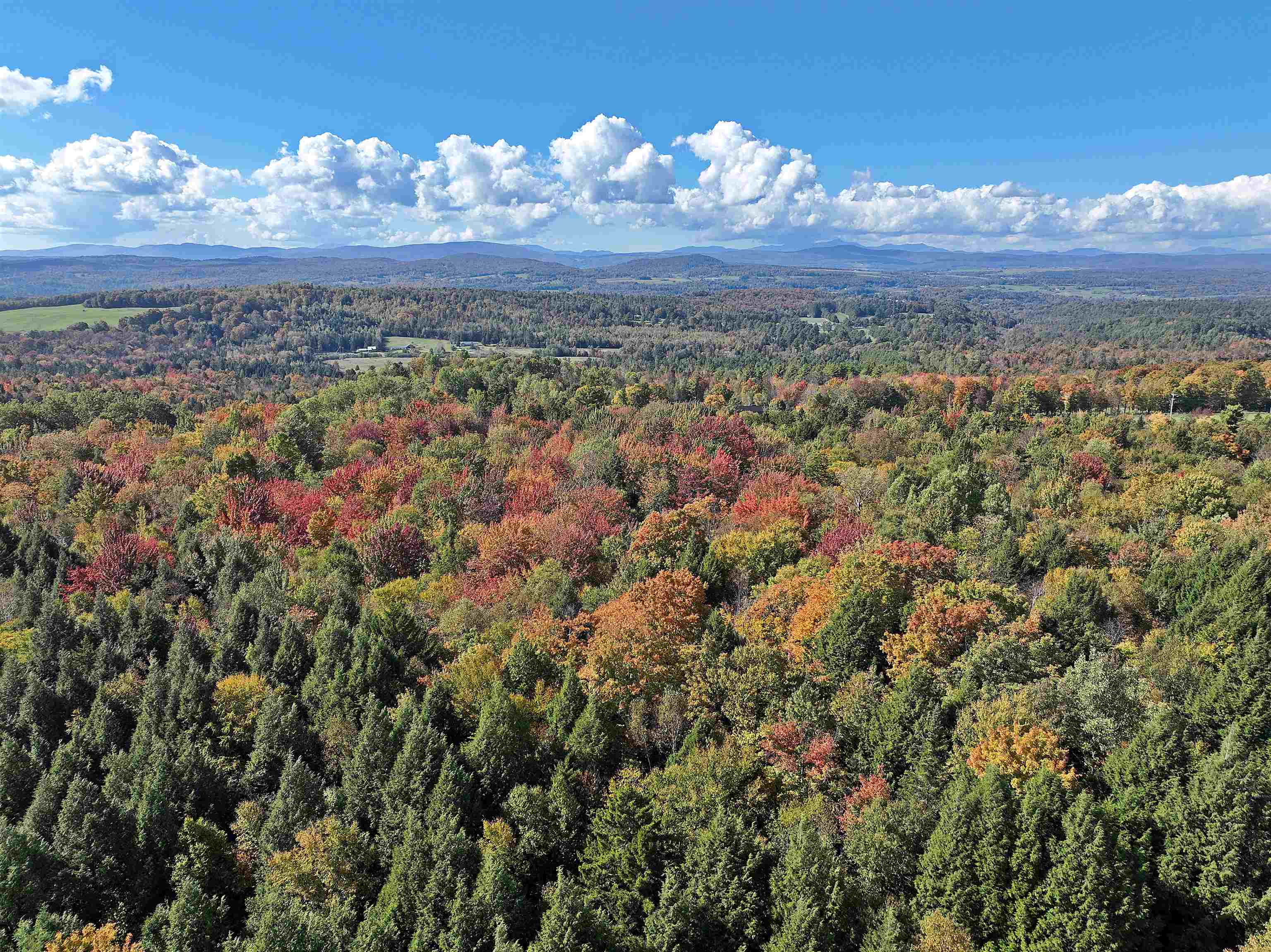 1156 Baird Road Barton, VT 05822 - Photo 43 of 60