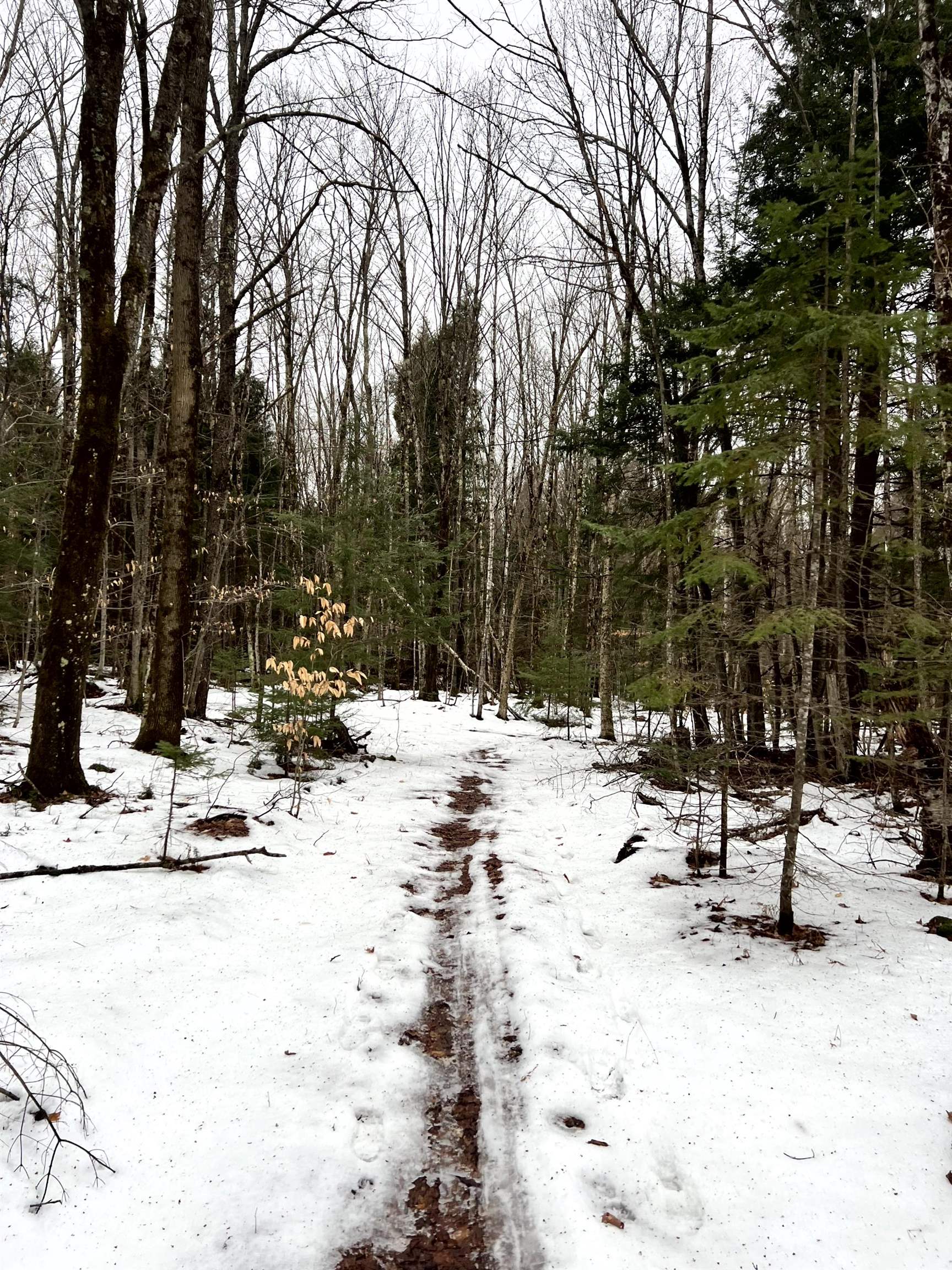 1156 Baird Road Barton, VT 05822 - Photo 52 of 60