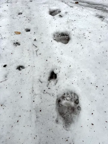 $1,300,000 | 1156 Baird Road, Barton, VT 05822