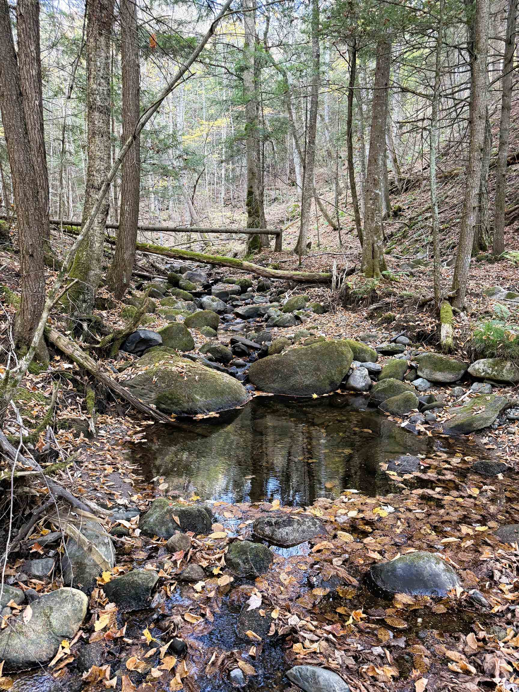 1156 Baird Road Barton, VT 05822 - Photo 54 of 60