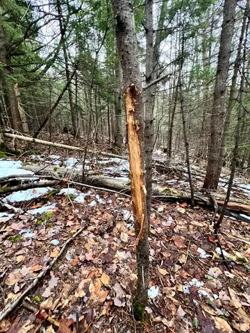 $1,300,000 | 1156 Baird Road, Barton, VT 05822