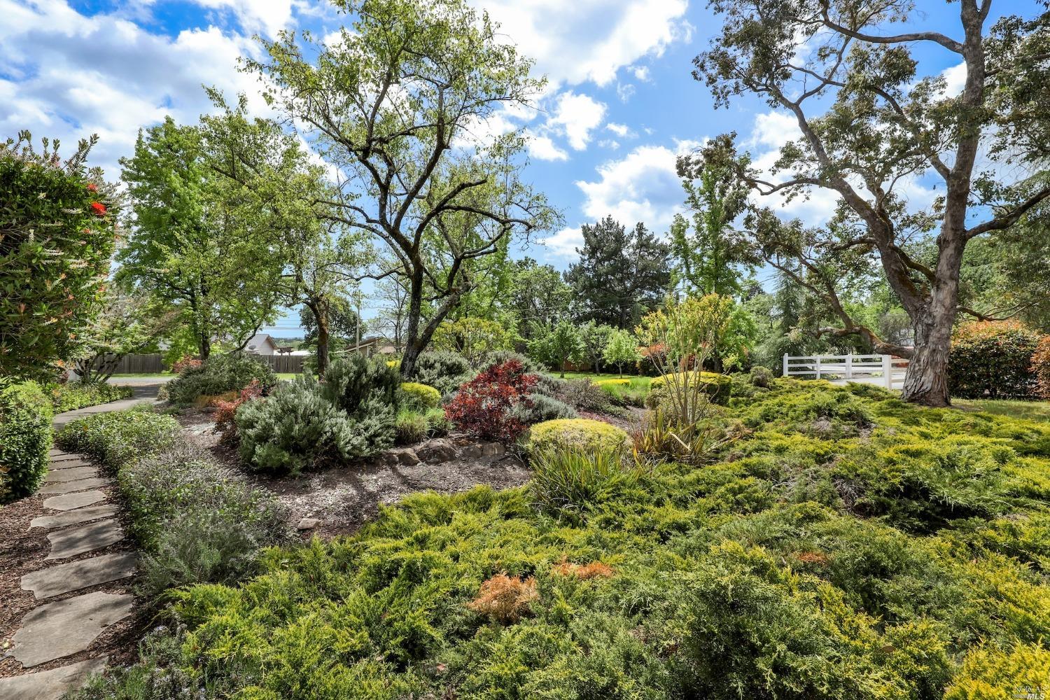 1454 Olivet Road Santa Rosa, CA 95401 - Photo 26 of 30 a view of a garden with a tree