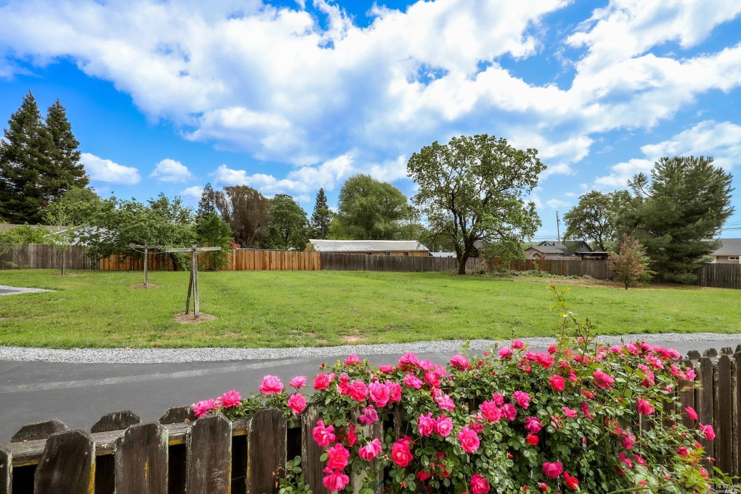 1454 Olivet Road Santa Rosa, CA 95401 - Photo 4 of 30 a view of a garden with flowers and trees