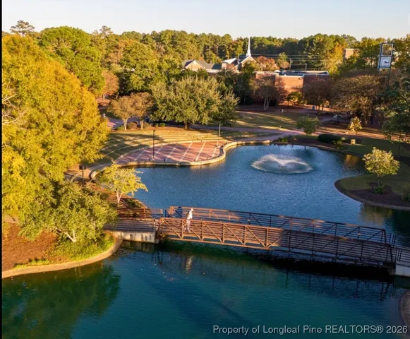 a view of a lake with a mountain